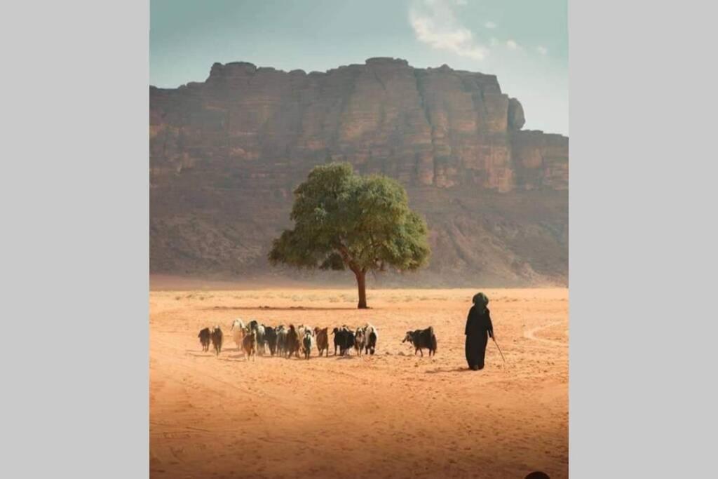 Bedouin Nature Travels Вади Муса Екстериор снимка