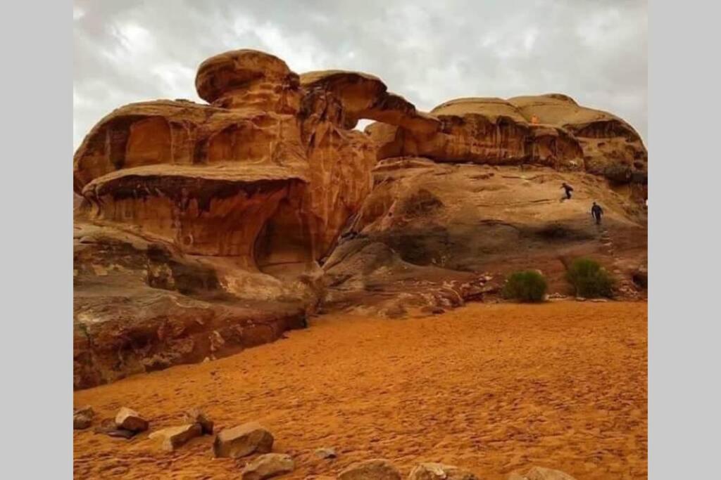 Bedouin Nature Travels Вади Муса Екстериор снимка
