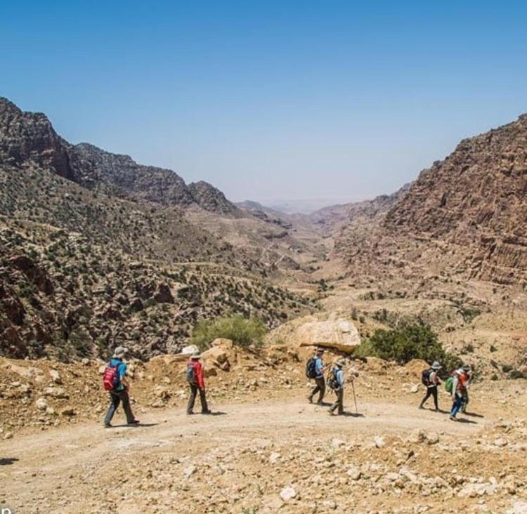 Bedouin Nature Travels Вади Муса Екстериор снимка
