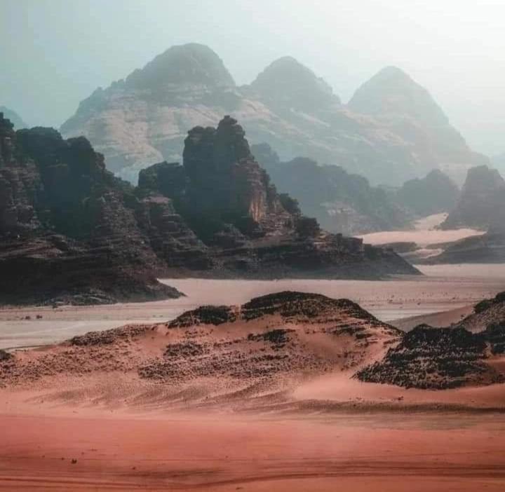 Bedouin Nature Travels Вади Муса Екстериор снимка