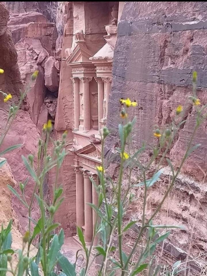 Bedouin Nature Travels Вади Муса Екстериор снимка