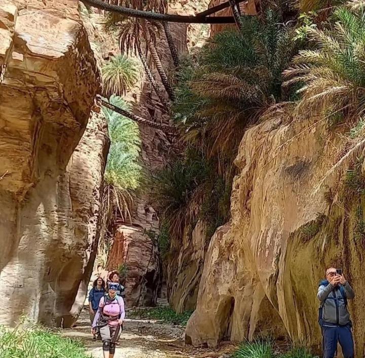 Bedouin Nature Travels Вади Муса Екстериор снимка
